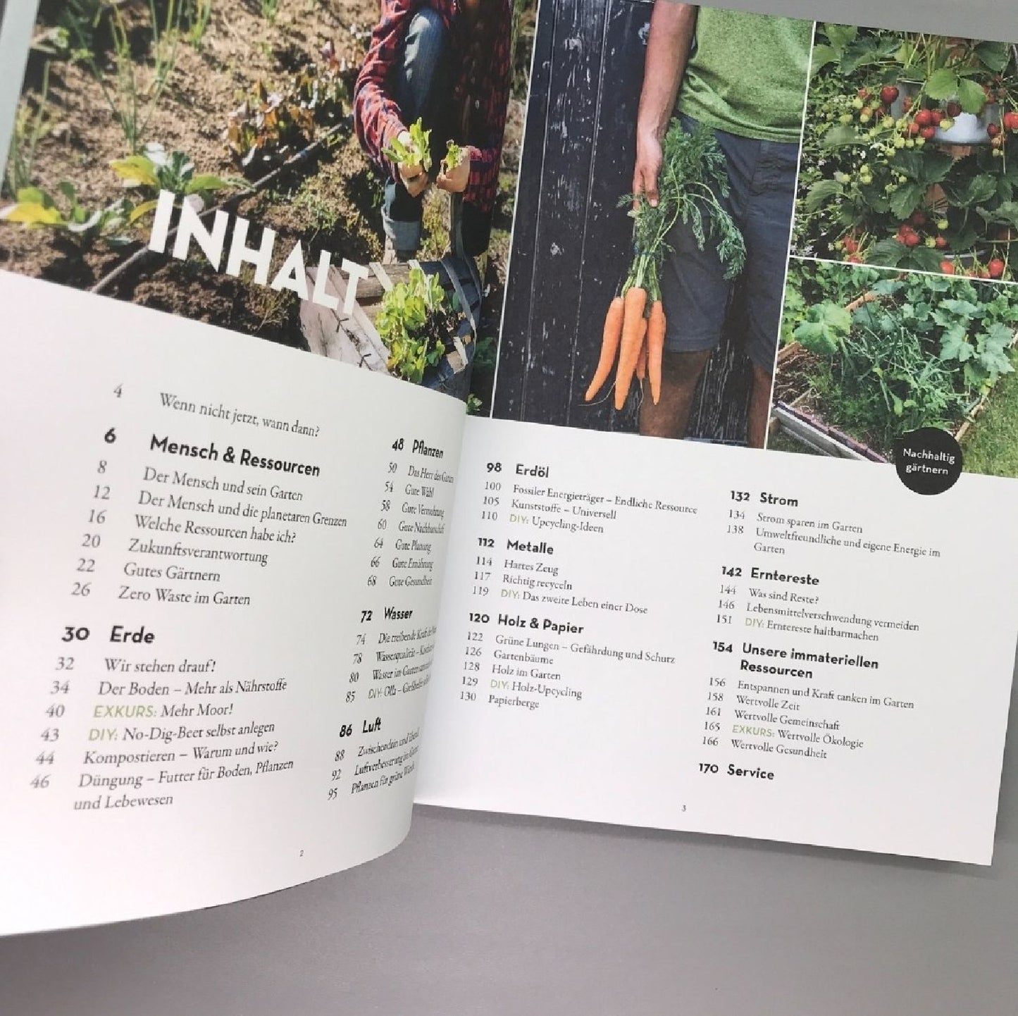 Wenn nicht jetzt, Wann dann? (Manuela Gassner)