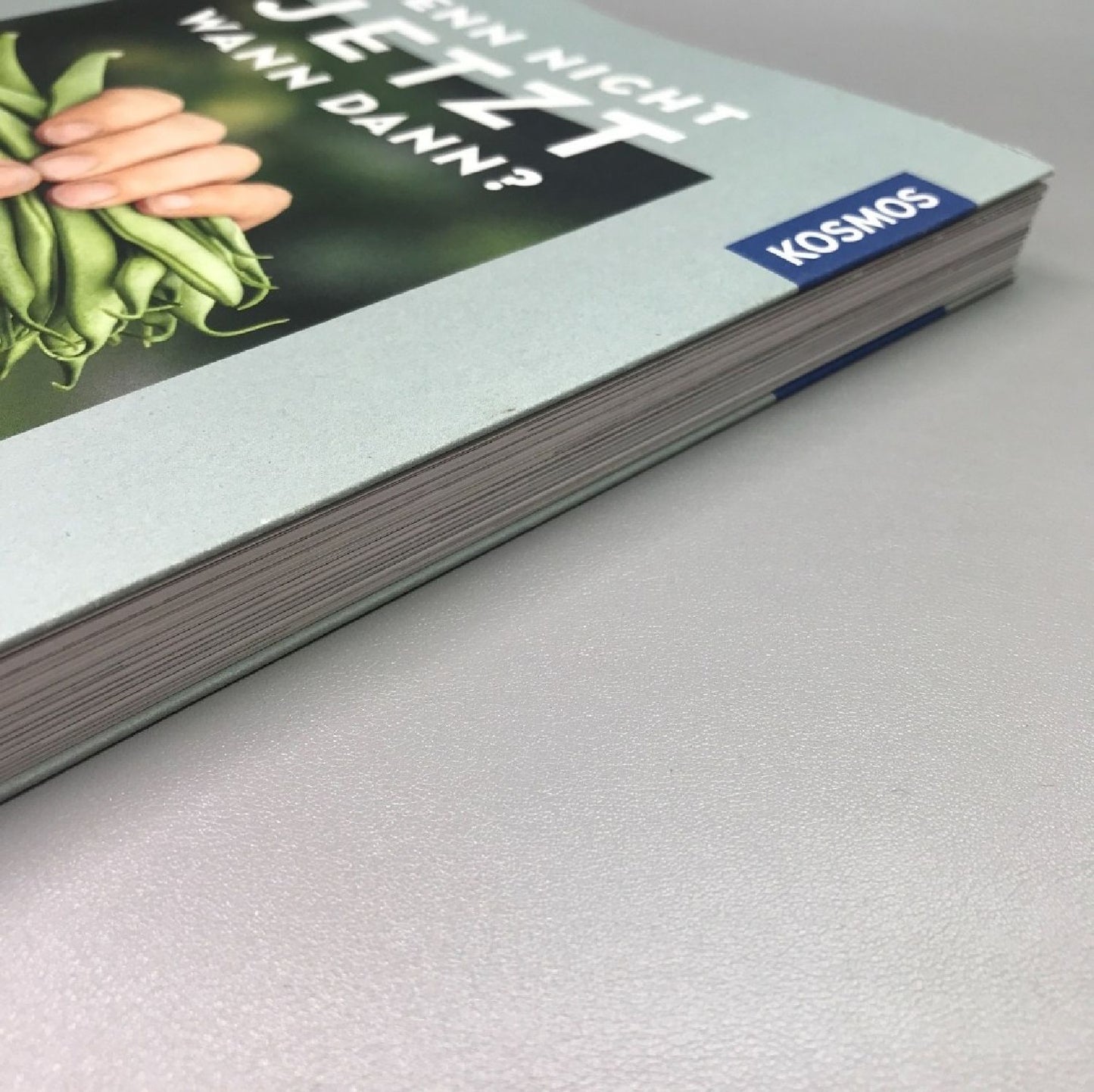 Wenn nicht jetzt, Wann dann? (Manuela Gassner)