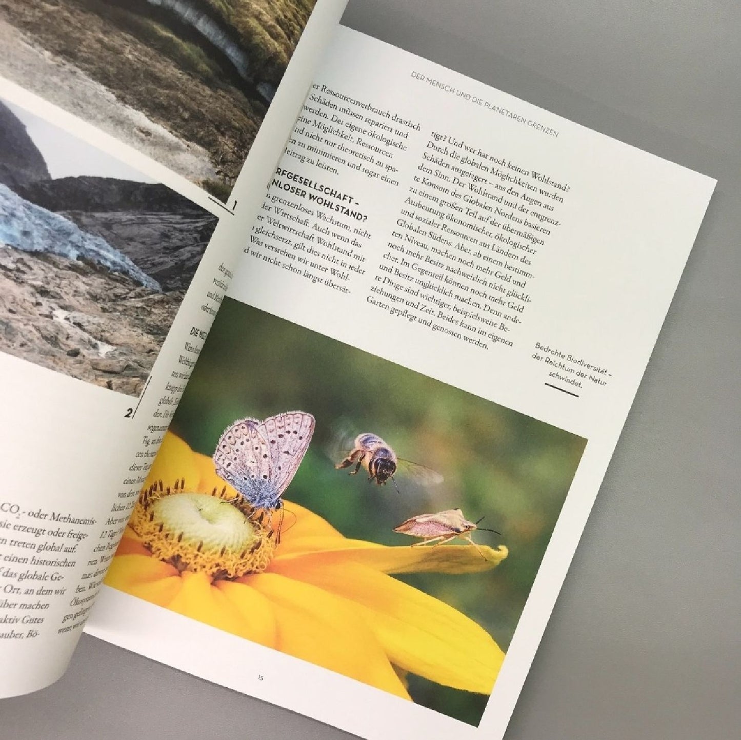 Wenn nicht jetzt, Wann dann? (Manuela Gassner)