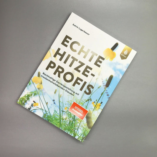 Echte Hitzeprofis Katrin Lugerbauer