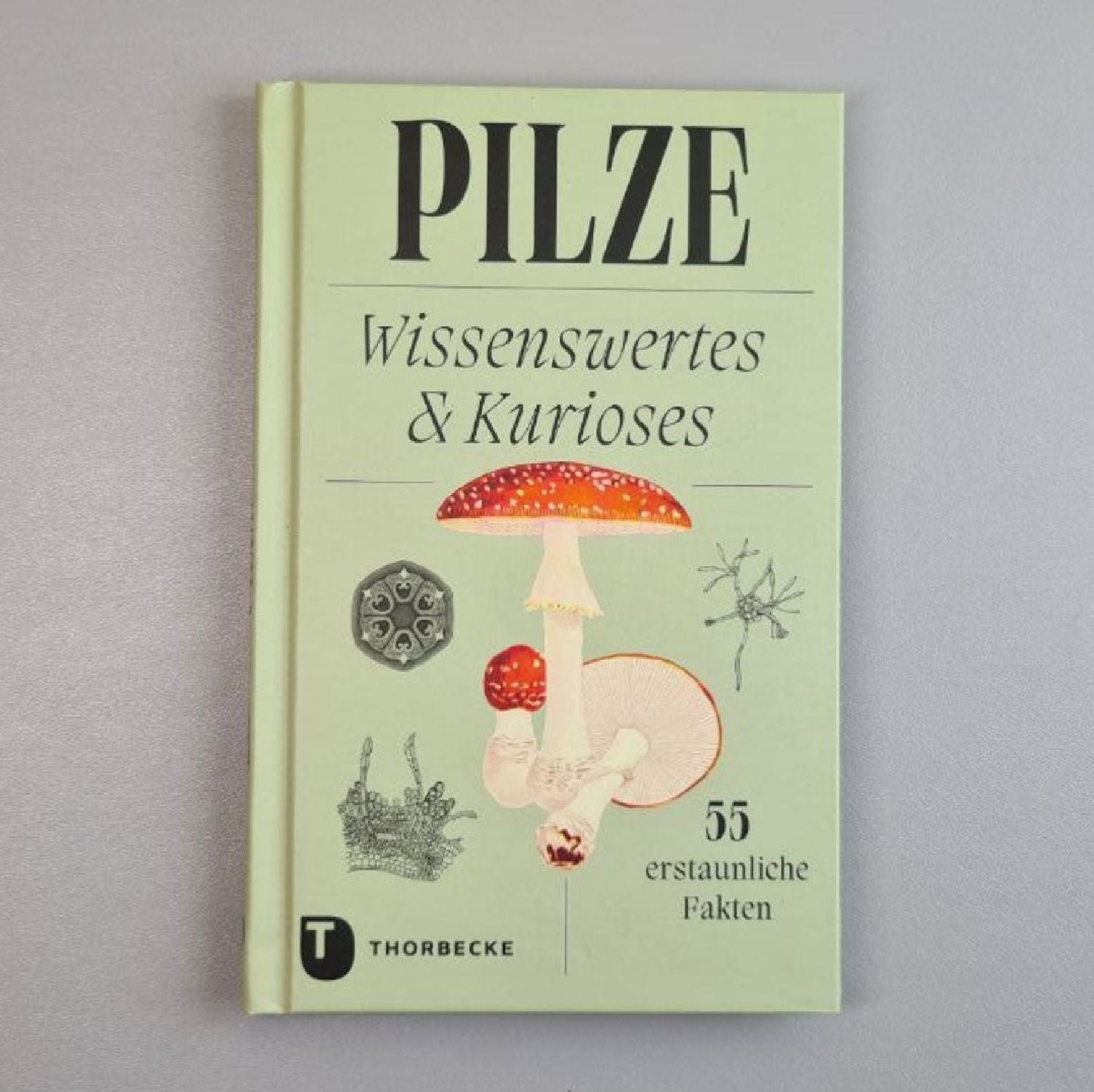 Pilze Wissenswertes und Kurioses