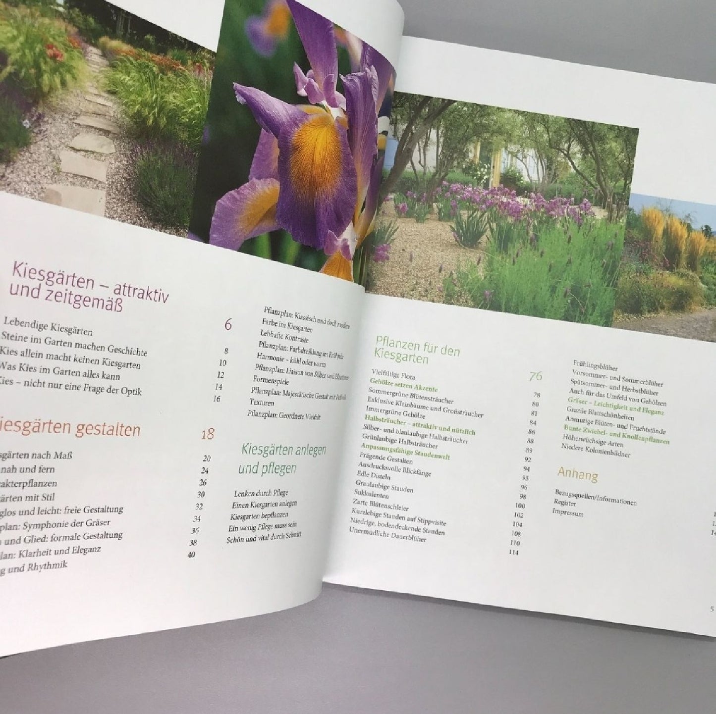 Blütenpracht ohne gießen (Bernd Hertle)