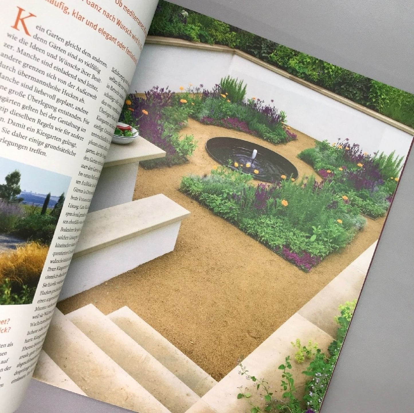 Blütenpracht ohne gießen (Bernd Hertle)