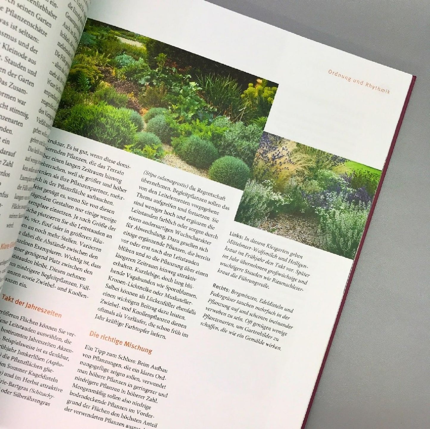 Blütenpracht ohne gießen (Bernd Hertle)