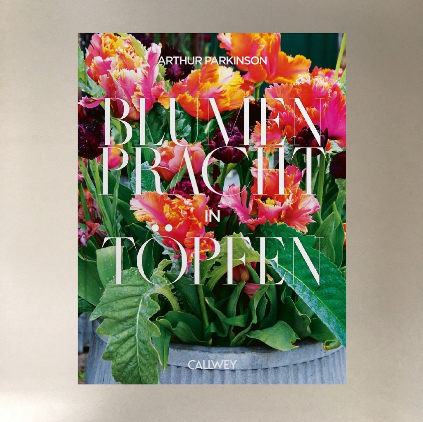 Blumenpracht in Töpfen Arthur Parkinson