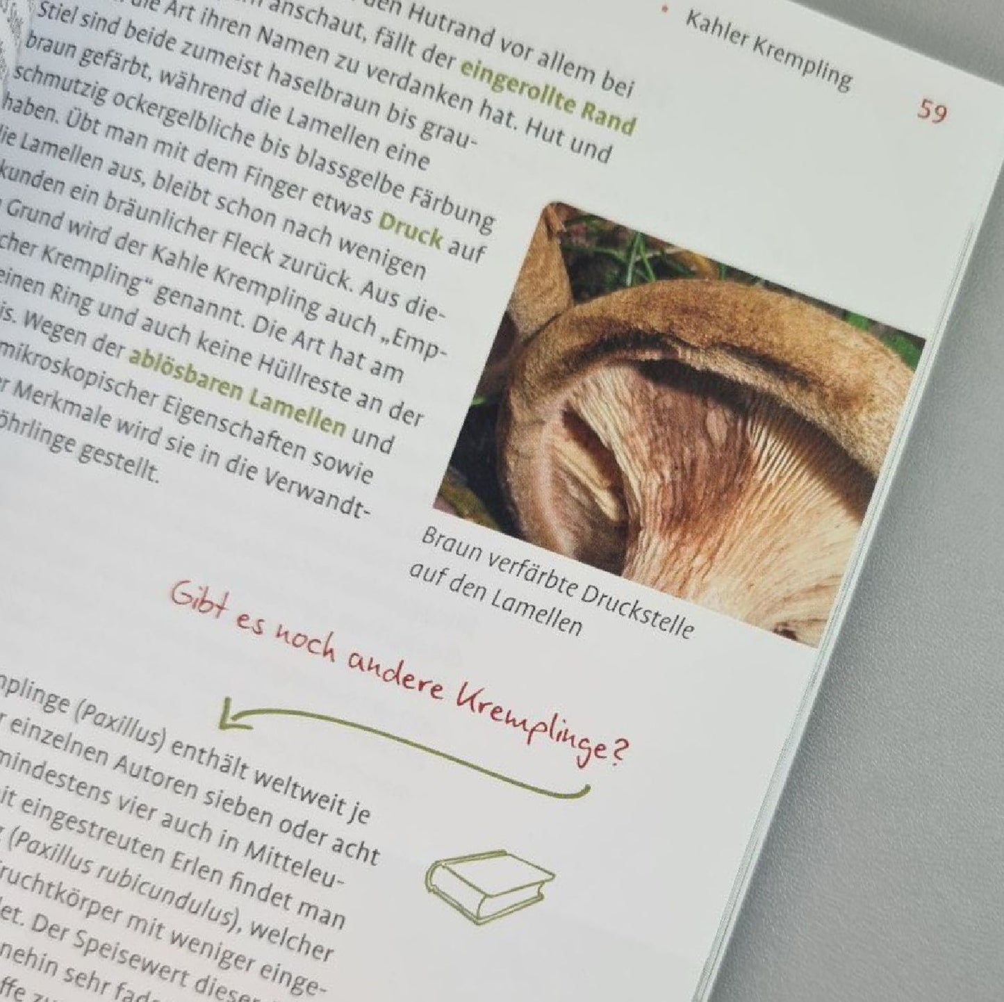Pilze FAQ (Björn Wergen)