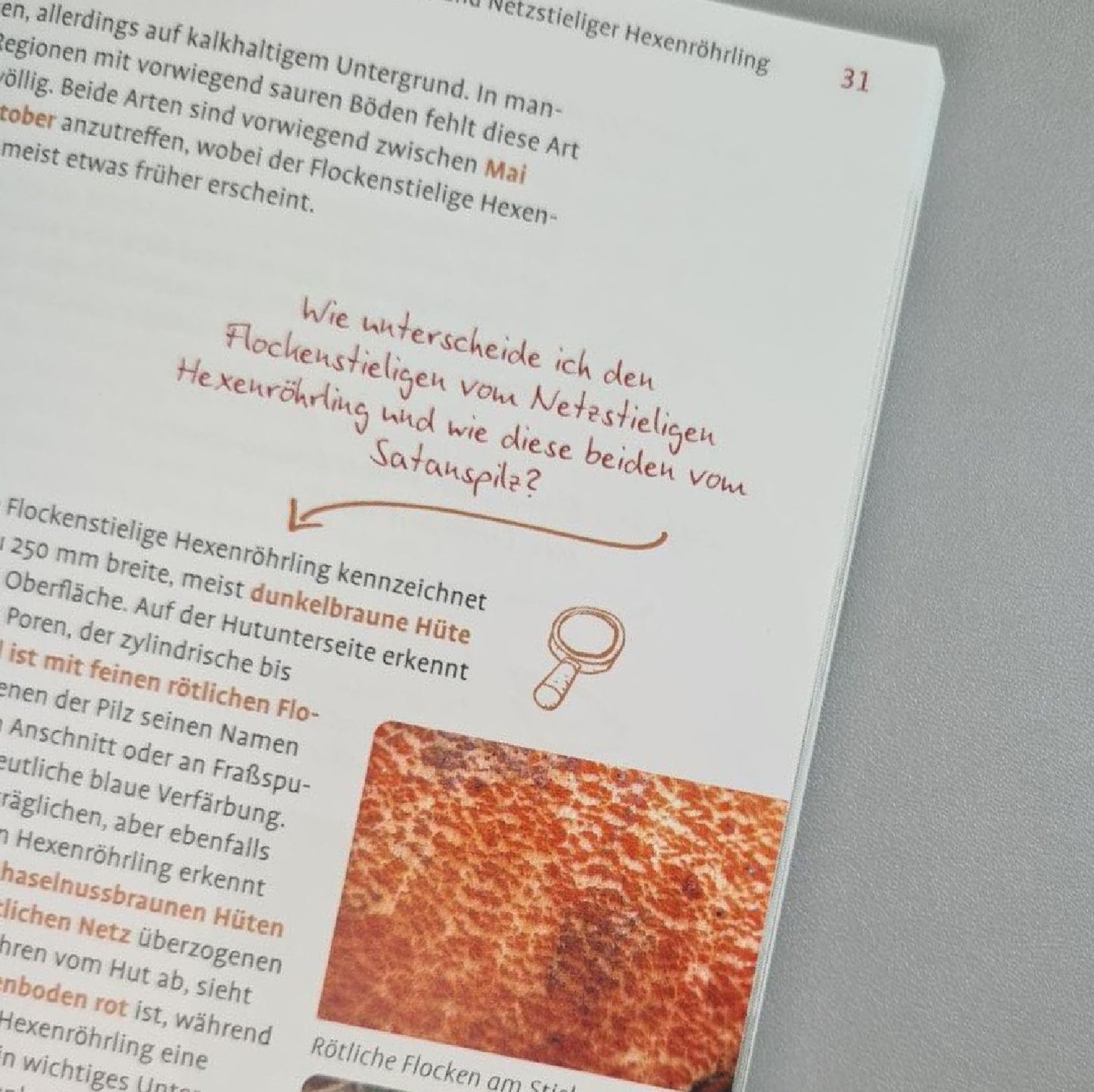 Pilze FAQ (Björn Wergen)
