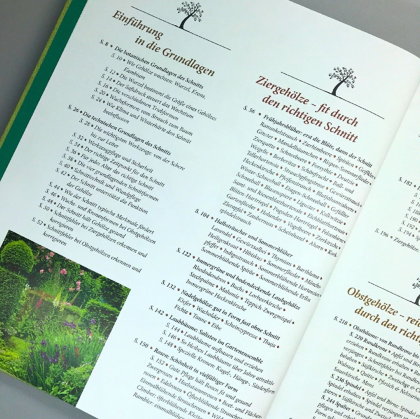 Pflanzenschnitt (DAS GROSSE GU PRAXISHANDBUCH)