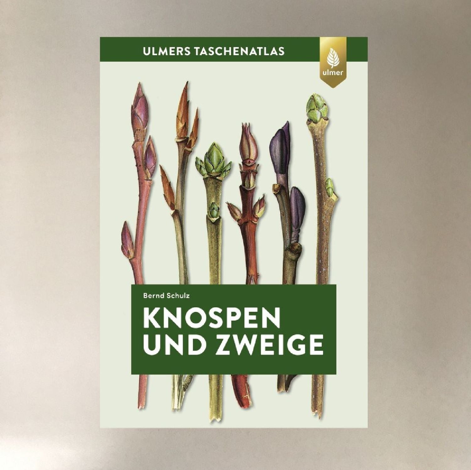Knospen und Zweige Jean-Denis Godet