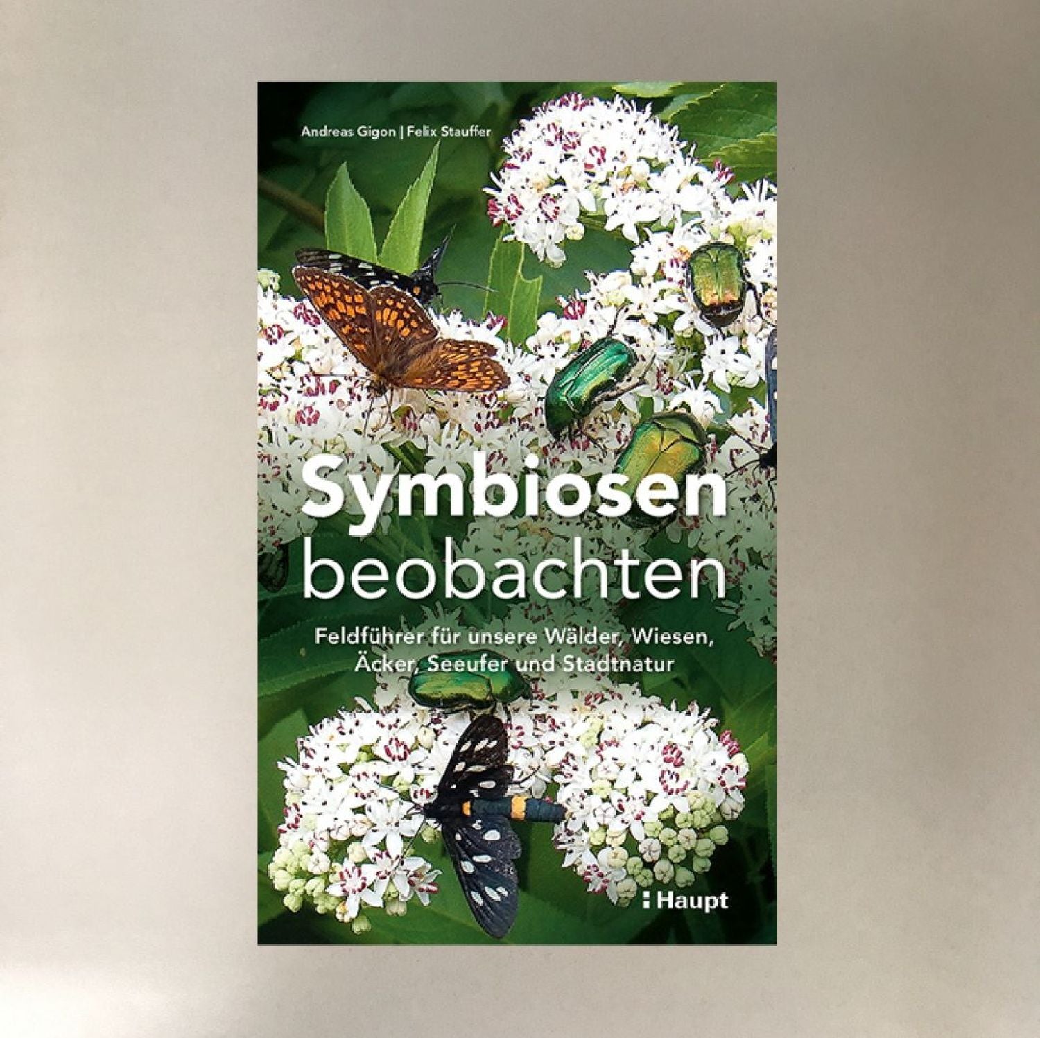 Symbiosen beobachten Andreas Gigon/Felix Stauffer