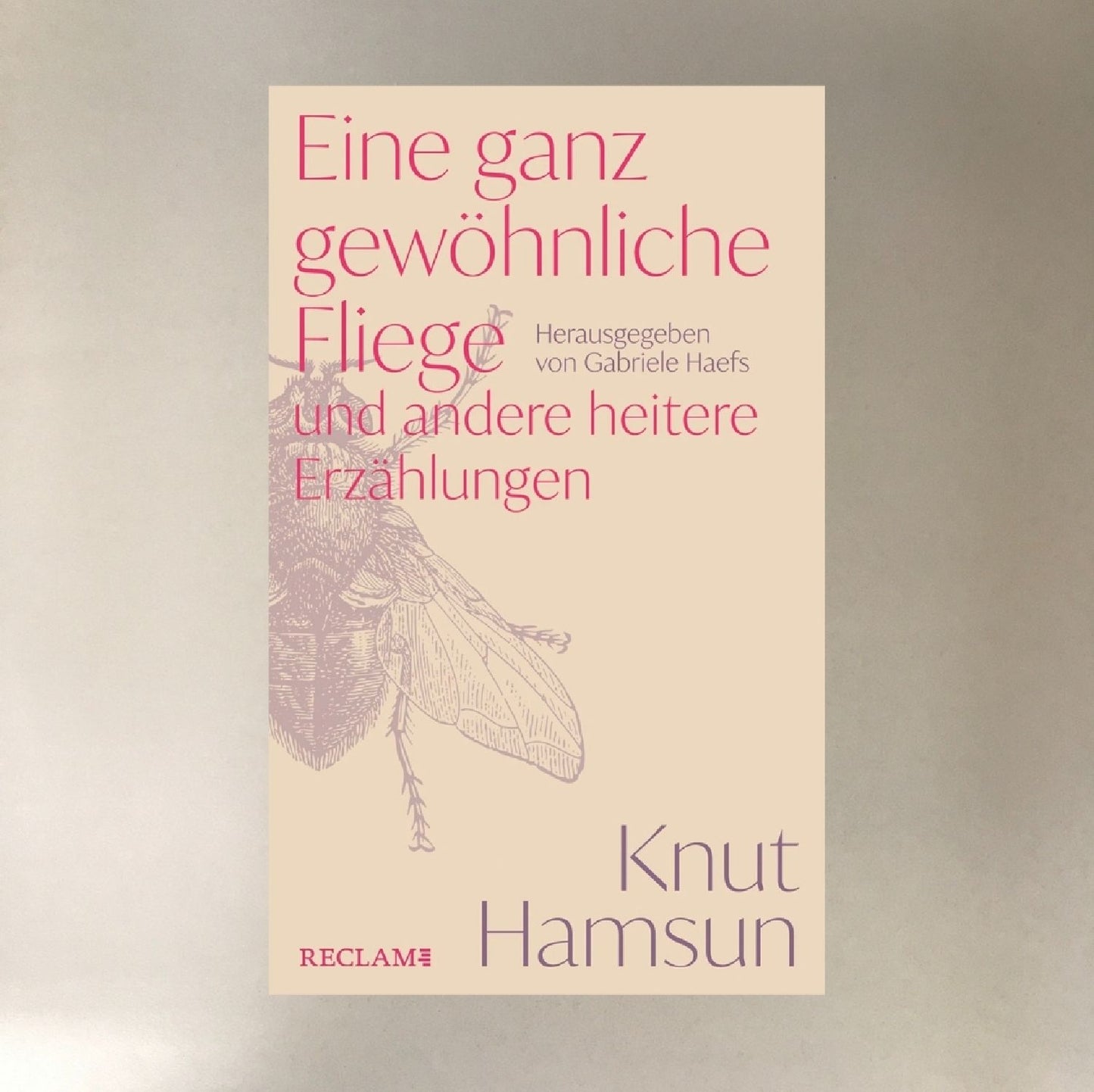 EINE GANZ GEWÖHNLICHE FLIEGE KNUT HAMSUN