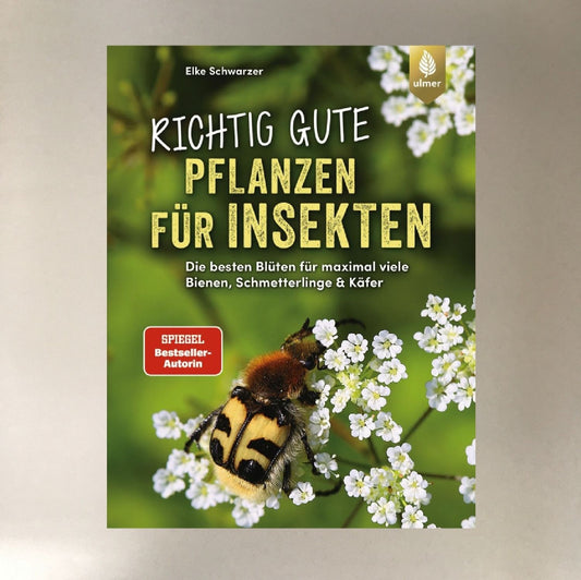 Richtig gute Pflanzen für Insekten Elke Schwarzer