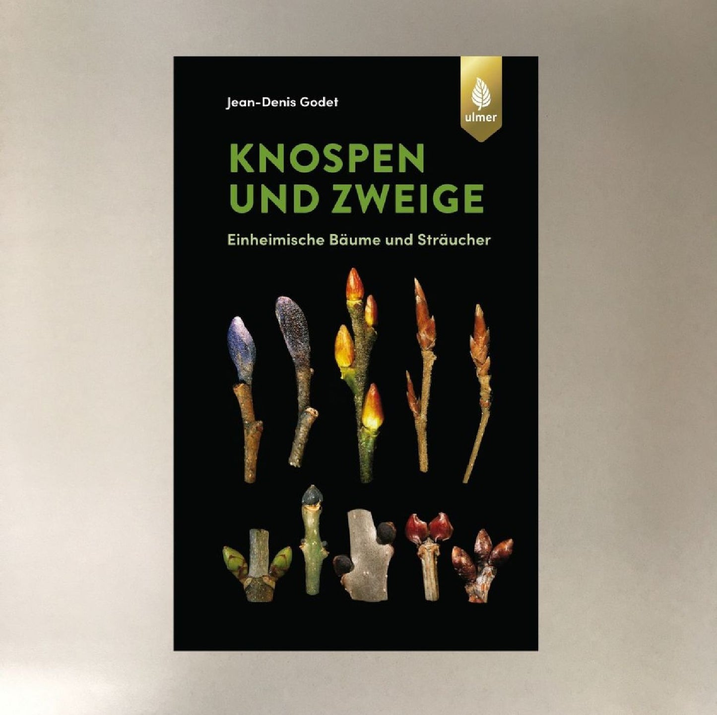Knospen und Zweige (Jean-Denis Godet)