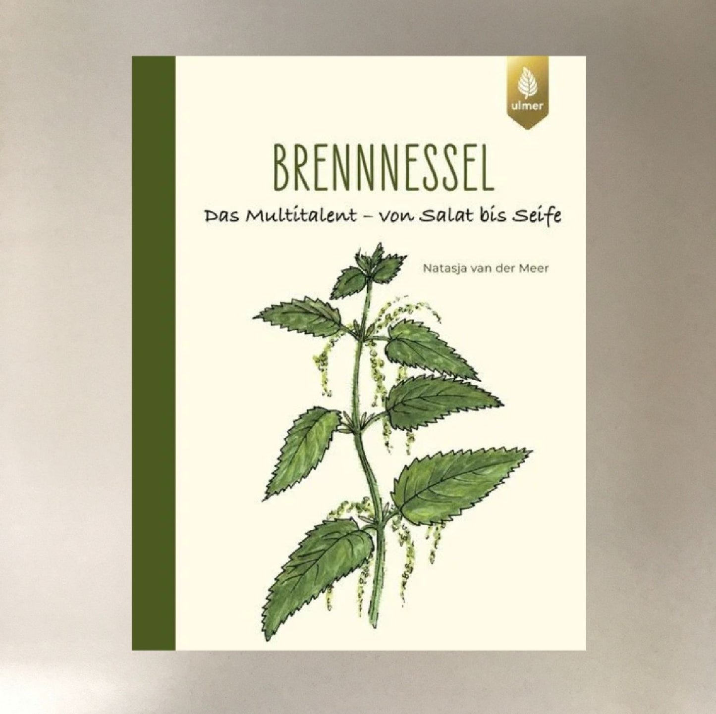 Brennessel Das Multitalent - von Salat bis Seife