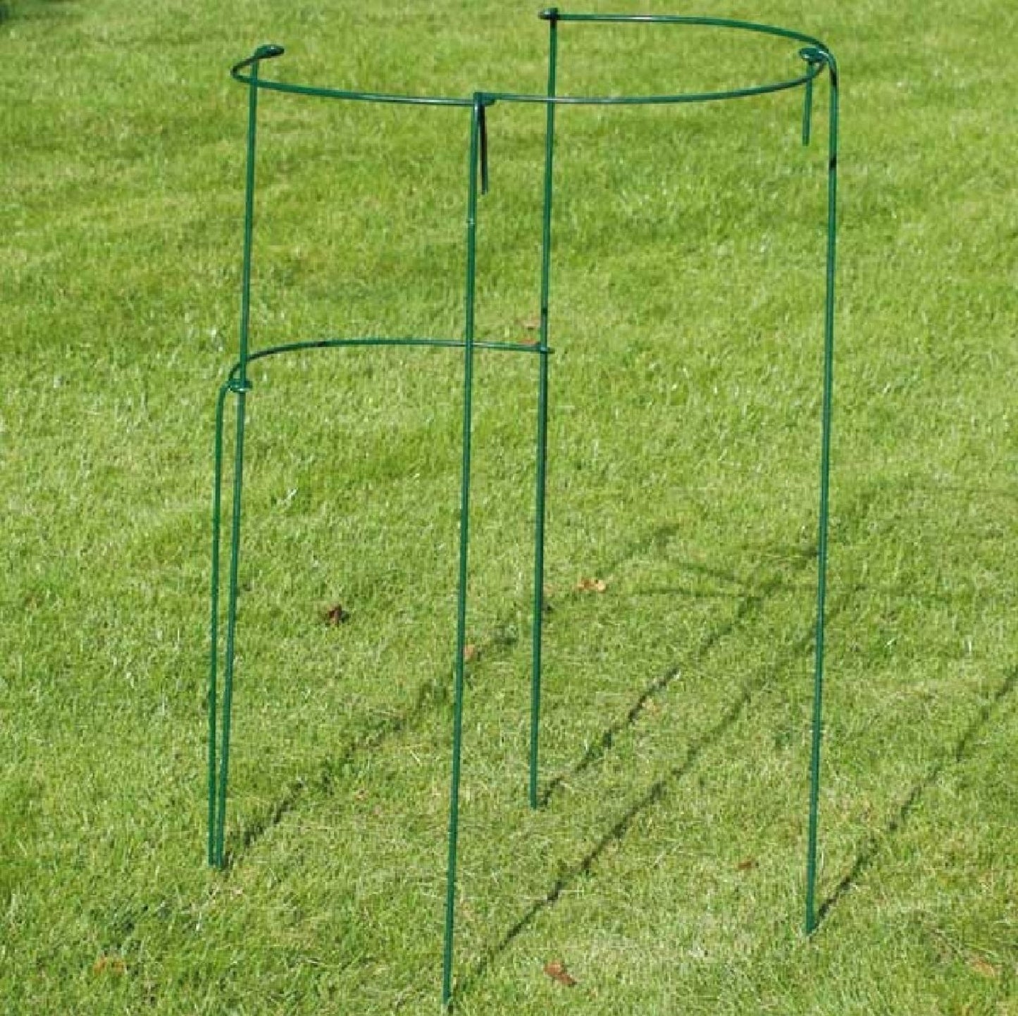 Staudenstützen 'Oxxford' (Staudenhalter)