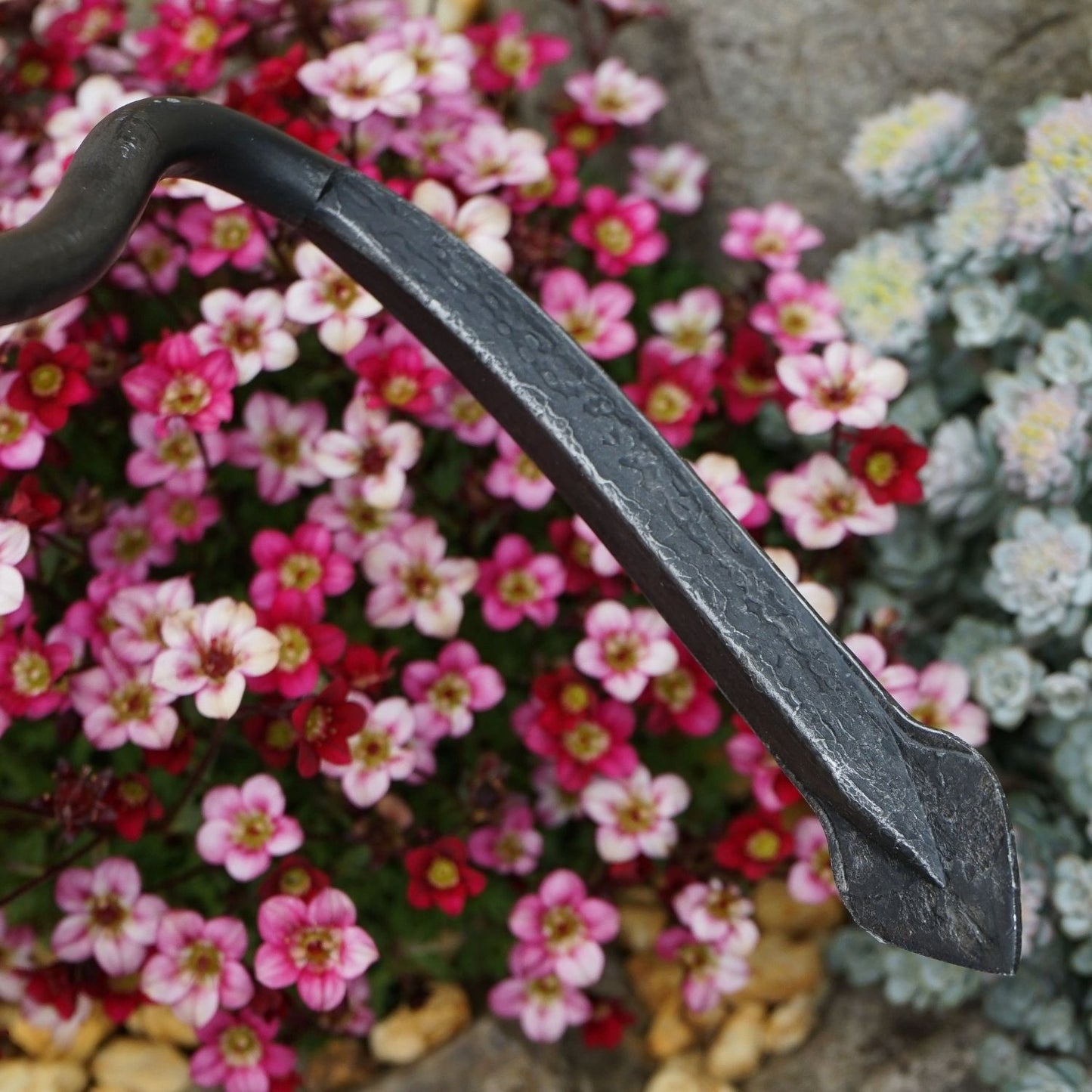 Sauzahn | 1-Zinken-Kultivator (mit Holzgriff aus Esche)