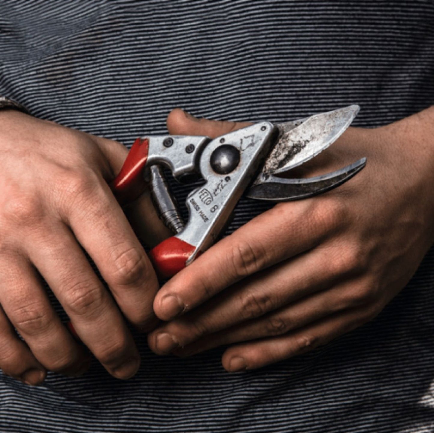 FELCO 8 Baumschere (für Rechtshänder)