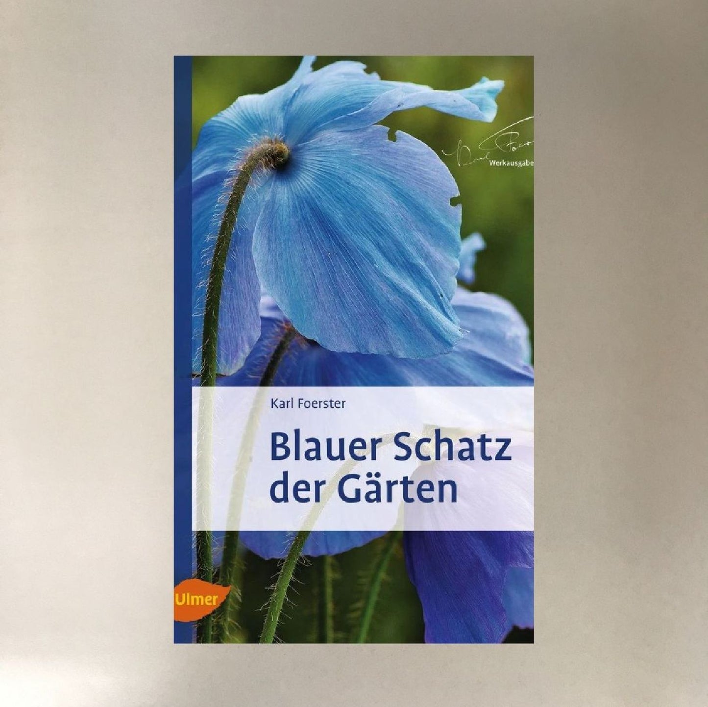 Blauer Schatz der Gärten Foerster, Karl