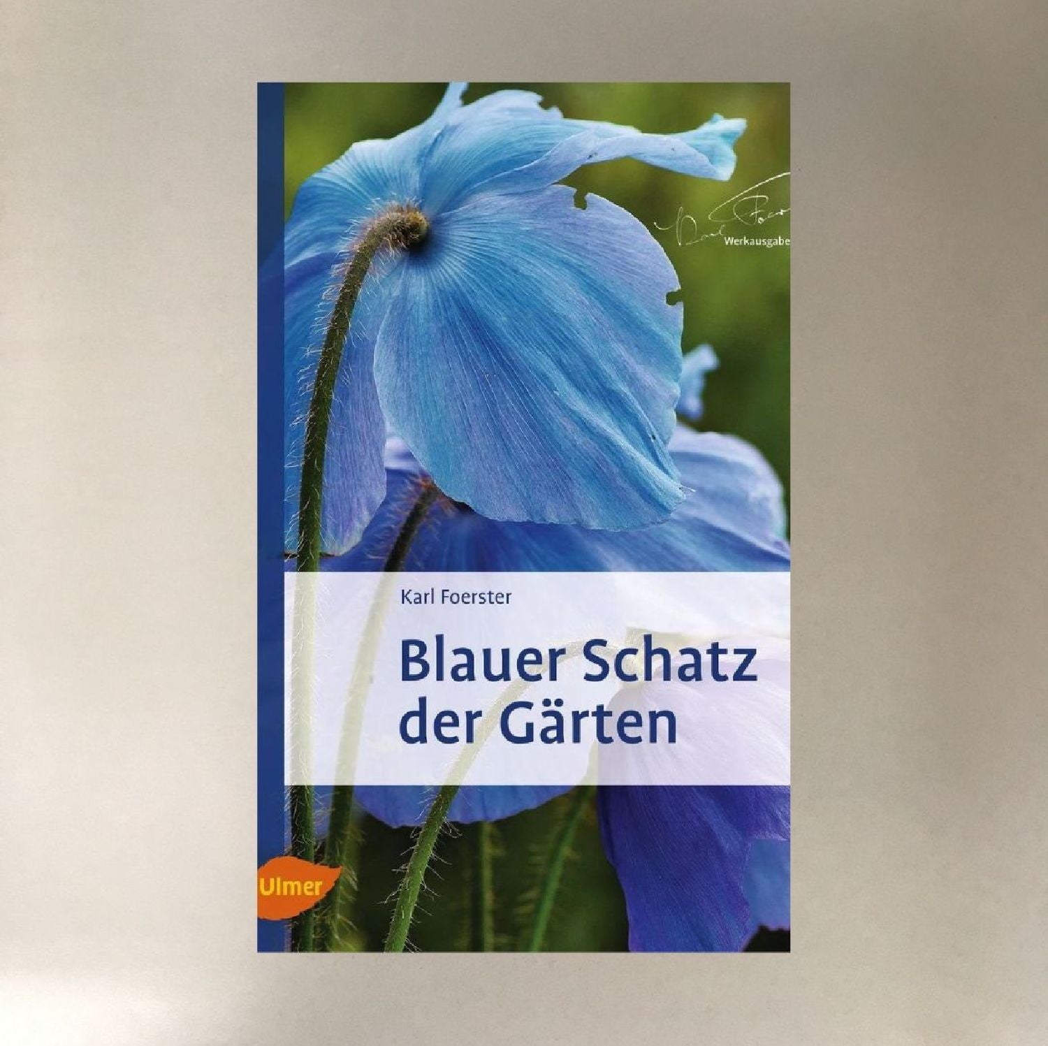 Blauer Schatz der Gärten Foerster, Karl