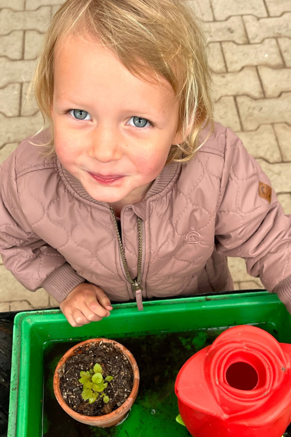 Kleines blondes Mädchen gießt ihre Pflanze.
