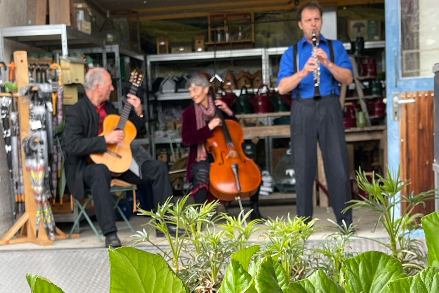 Musik auf dem Gartenfest