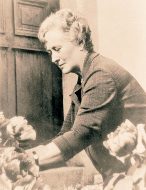 Helen von Stein-Zeppelin