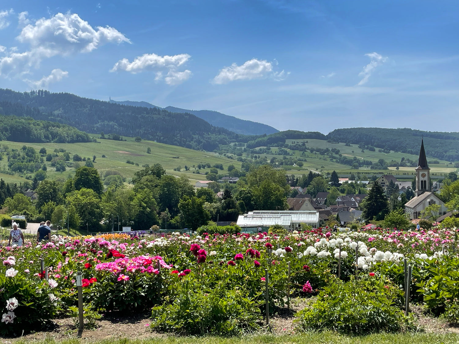 Gartenfest Mai