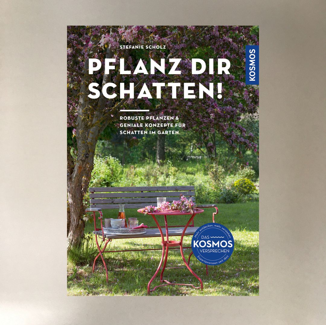 Pflanz Dir Schatten (Stefanie Scholz)