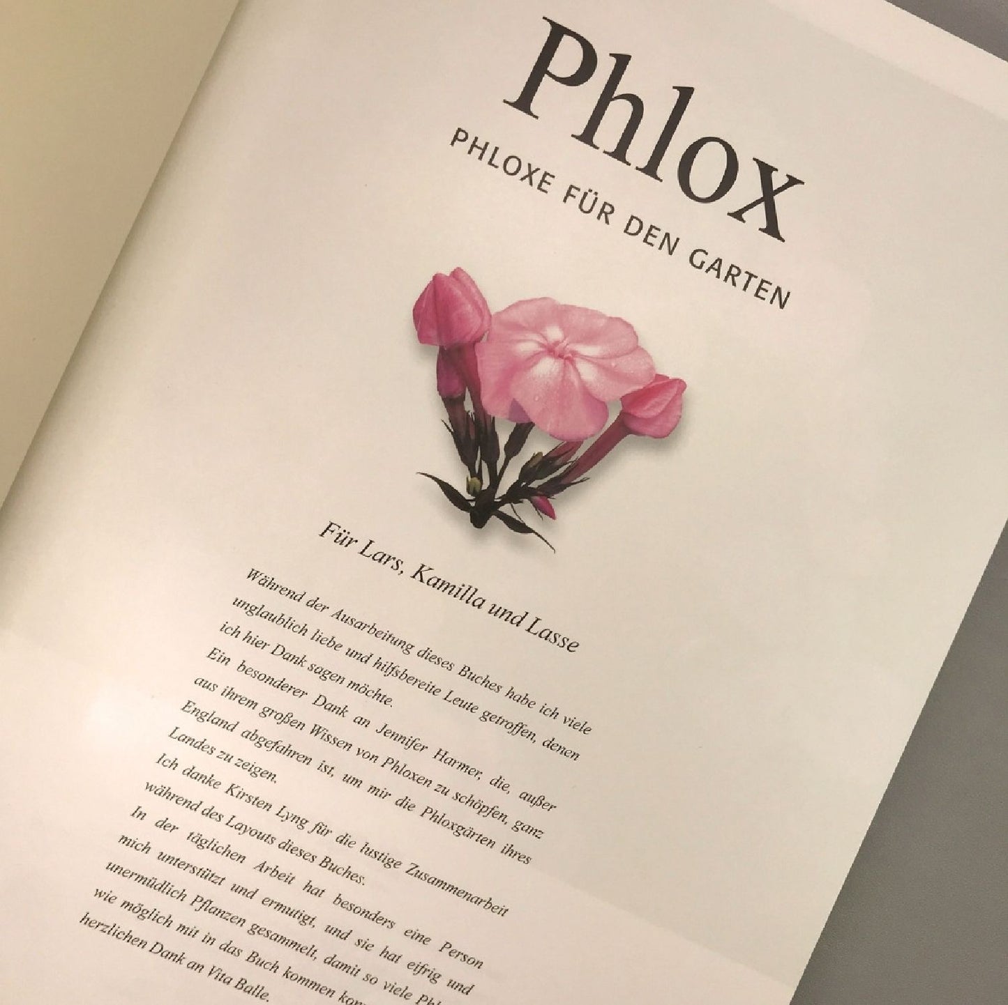 Phlox, Phloxe für den Garten (Birgitte Husted Bendtsen)