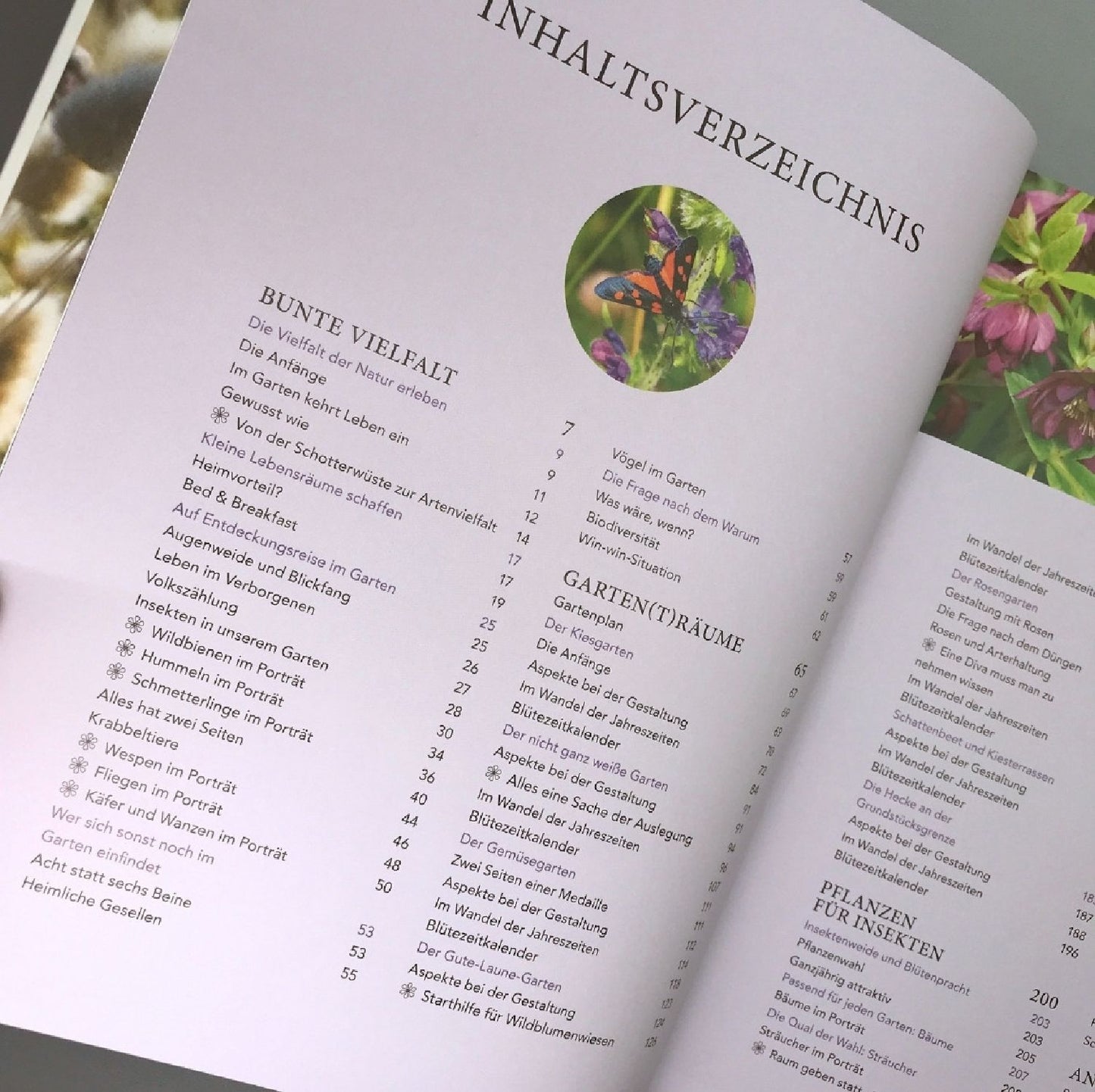 Mein summendes Paradies (Cynthia Nagel)
