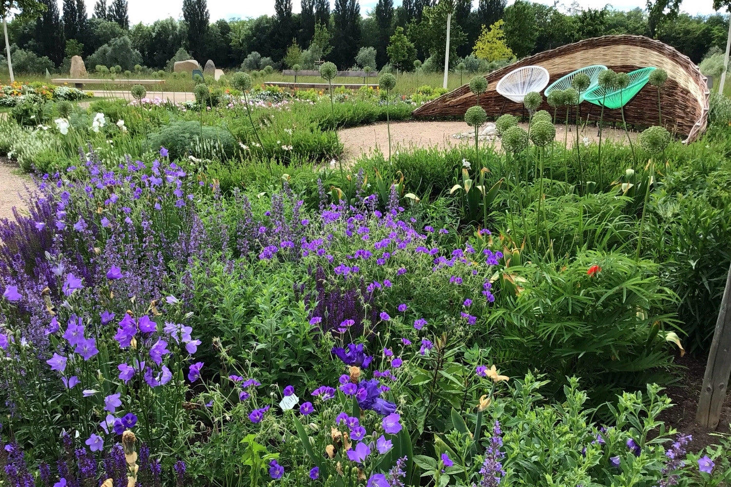 Schön war’s am Rhein
