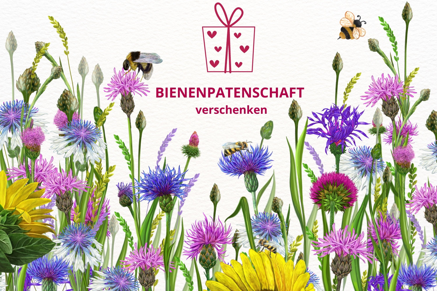 Eine Bienenweidepatenschaft ist das perfekte Geschenk (Wir lieben Bienen)