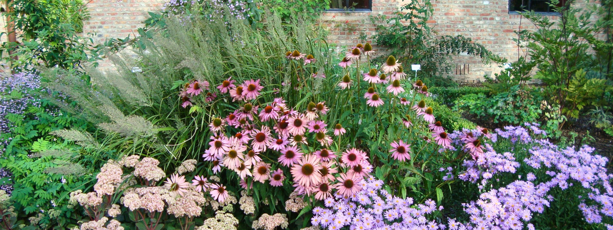 Staudenrabatte im Arboretum Wespelaar