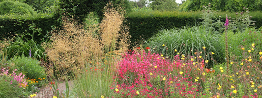 Staudenrabatte in den Merriments Gardens