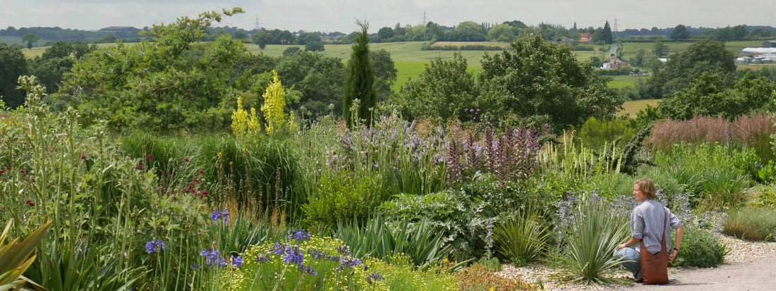 Der Trockengarten der RHS Hyde Hall