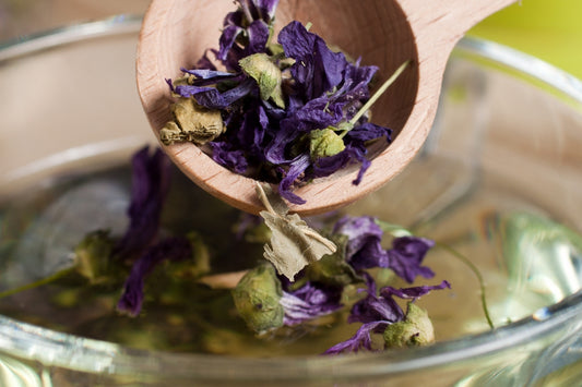 Köstliche Teekräuter pflanzen - Lieblingstees selbst gemischt