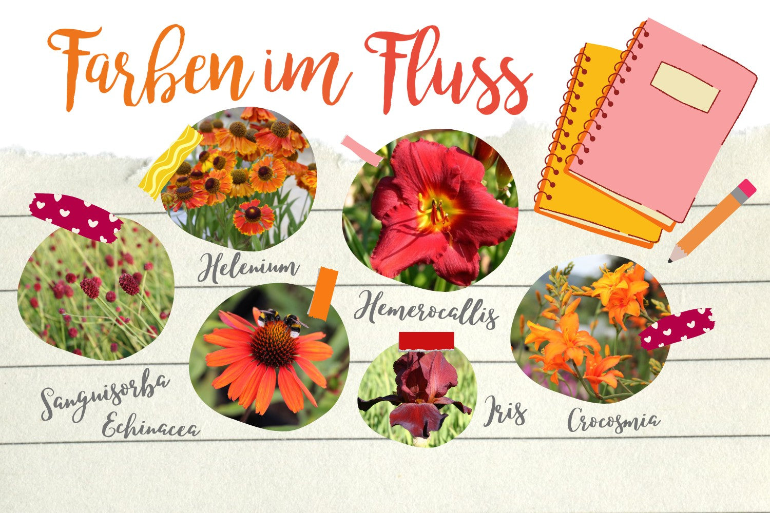 Farbenfrohe Beet-Inspiration