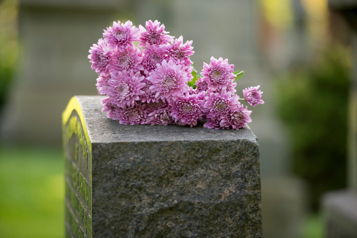 Friedvolle Orte (Grabbepflanzung mit Stauden, Gräsern & Rosen)