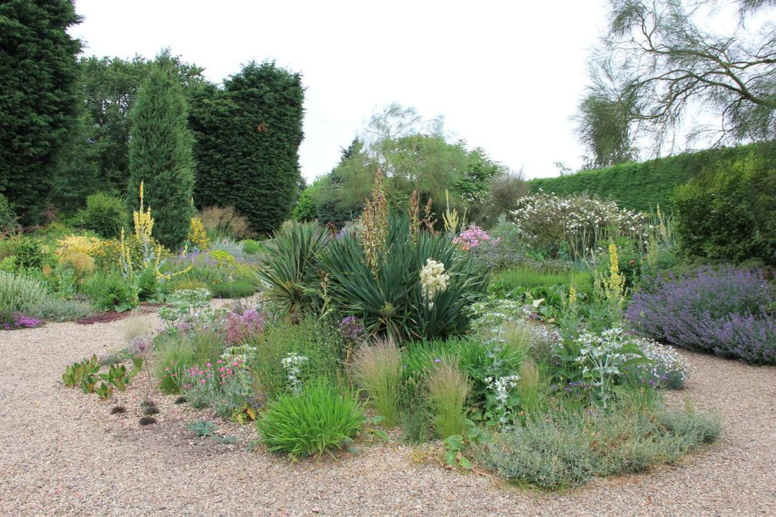 Garten-Idee: Beth Chattos Traumhafter Kiesgarten (Ein Kiesgarten, der üppig blüht und fleißig Insekten anzieht.)