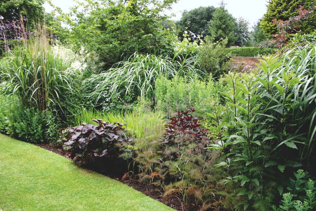 Garten-Idee aus Knoll Gardens (Hier lässt sich so mancher seltene Pflanzenschatz entdecken, vor allem Gräser)