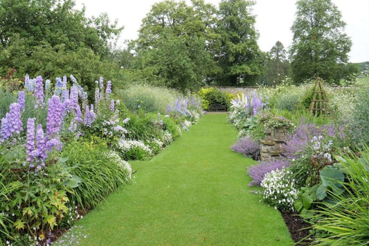 Garten-Idee aus Levens Hall (Die prächtige Double Border von Levens Hall lassen sich nachpflanzen.)