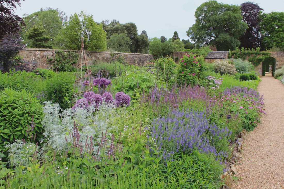 Garten-Idee aus Wakehurst Gardens (Versteckt hinter alten Mauern, oft nur begehbar durch kleine hölzerne Tore – die vergessenen Küchengärten Englands)