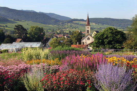 Herbstfest mit Blumenzwiebelmarkt  (am 20. September 2025)