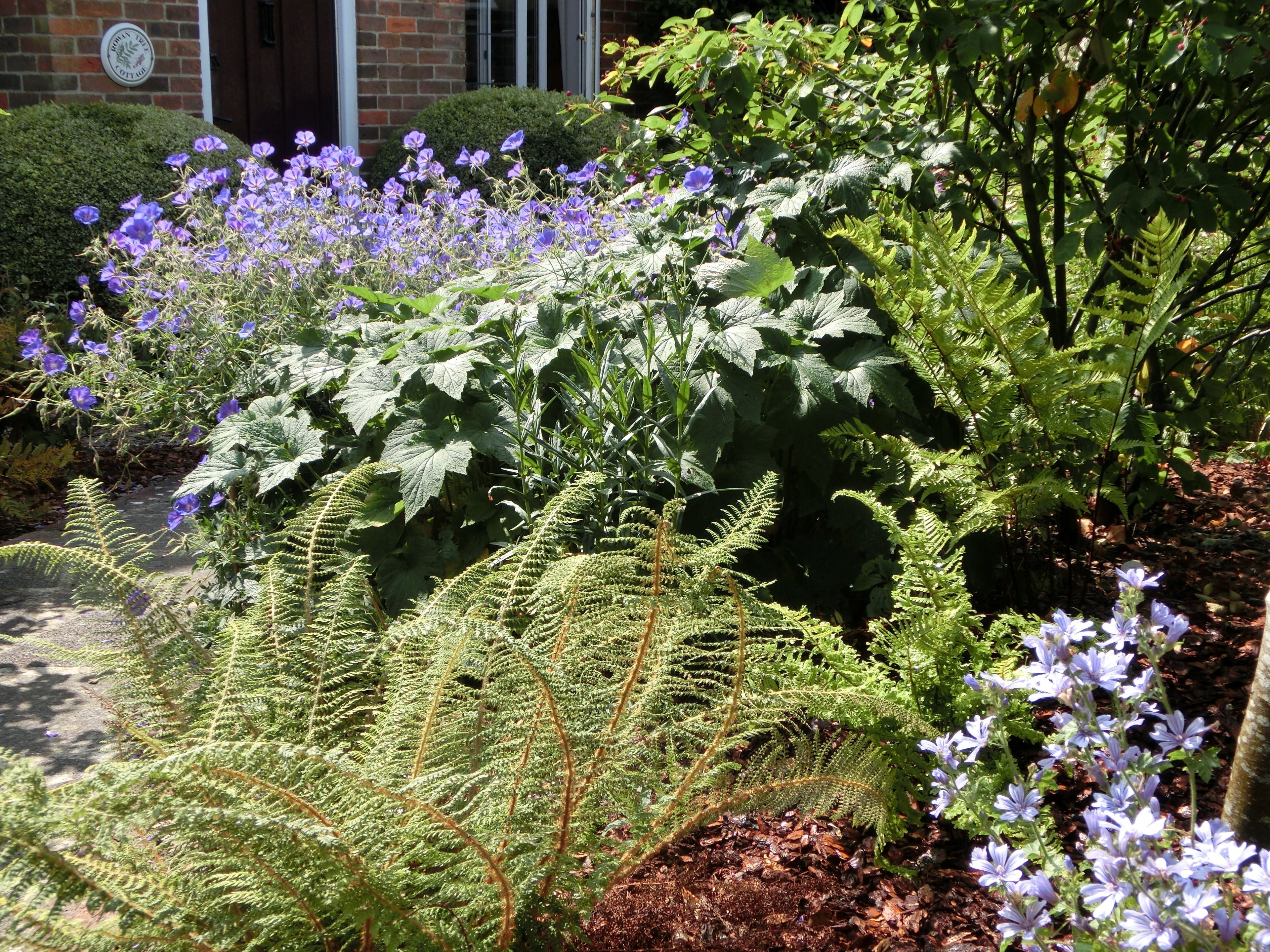 Welcher Gartenstil passt zu mir?