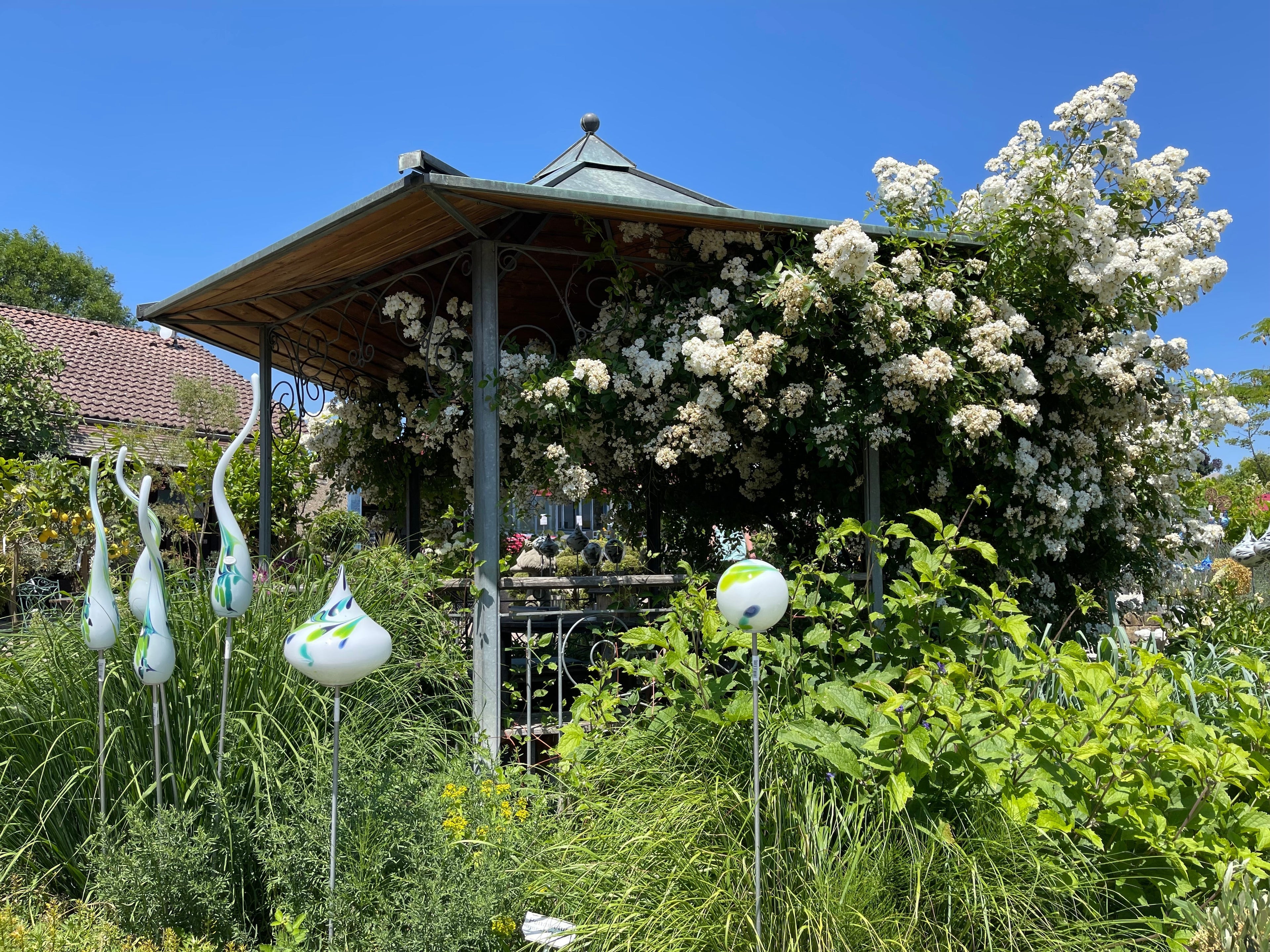 Romantische Rosenbeete anlegen (Wie wir Rosen & Stauden geschickt kombinieren)
