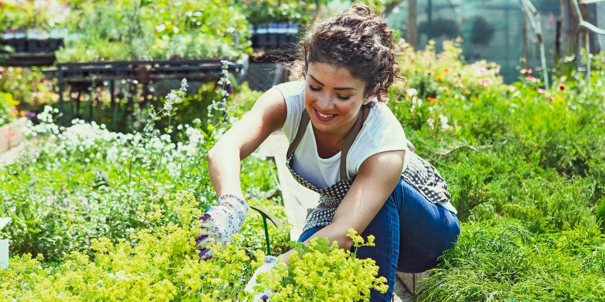Pflegeleichte Beet-Ideen für Einsteiger