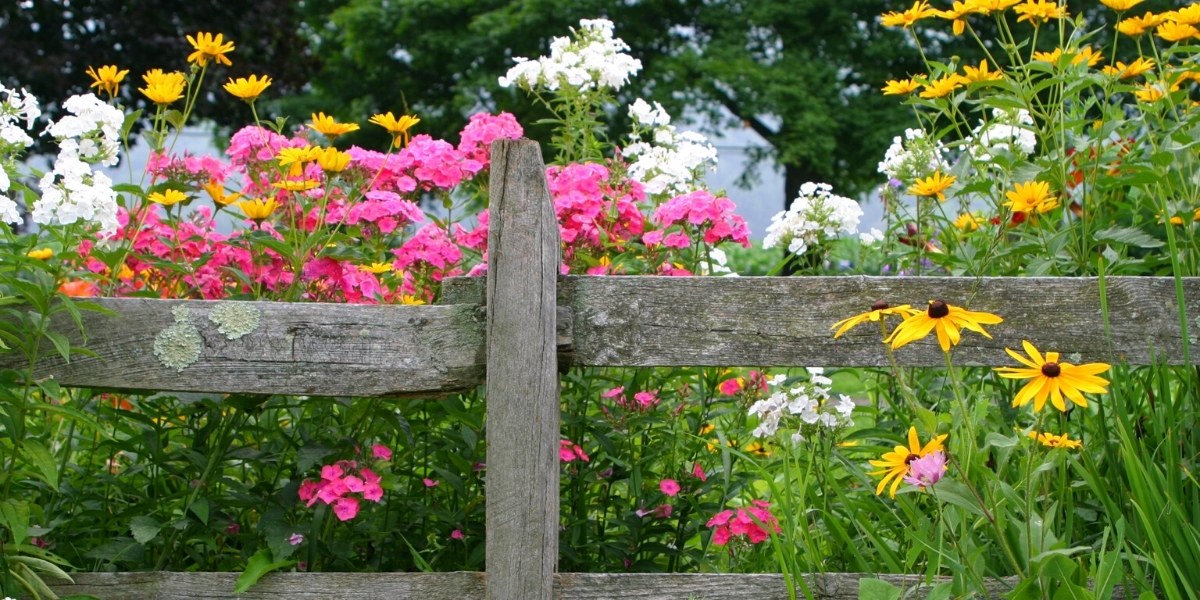 Der Bauerngarten