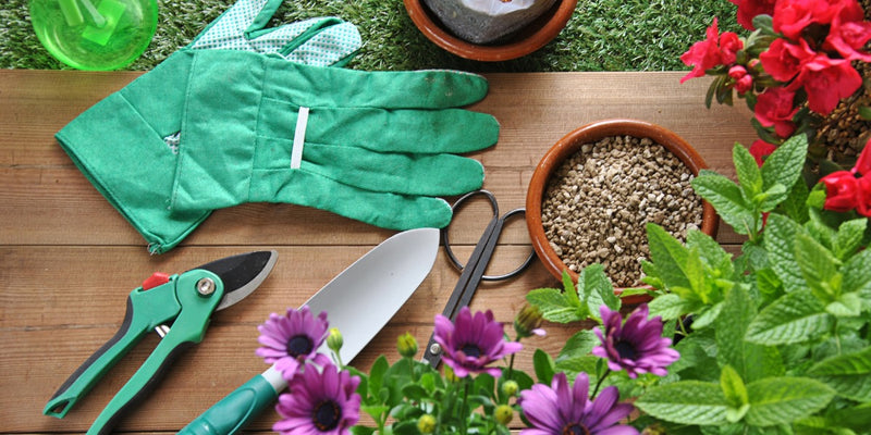 Gartenbedarf-Werkzeug, Pflanzenschutz und Gartendeko