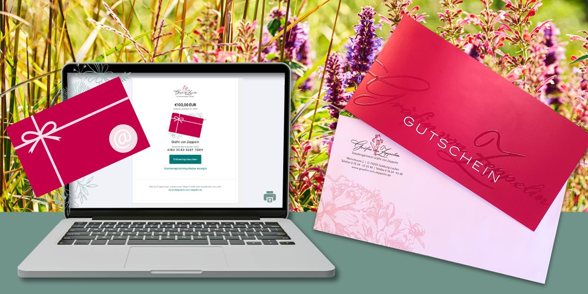 Gutscheine
