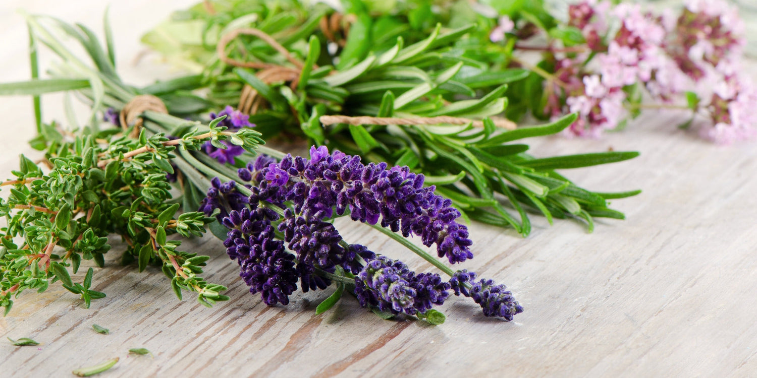 Kräuter- & Naschbeete